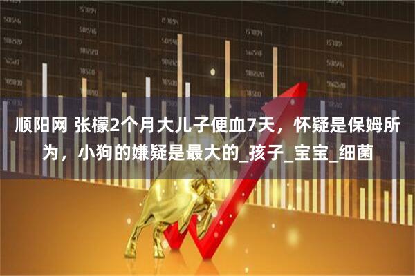 顺阳网 张檬2个月大儿子便血7天，怀疑是保姆所为，小狗的嫌疑是最大的_孩子_宝宝_细菌